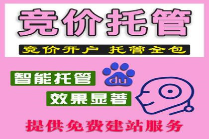 SEM托管服务助力电商平台流量翻倍的秘诀
